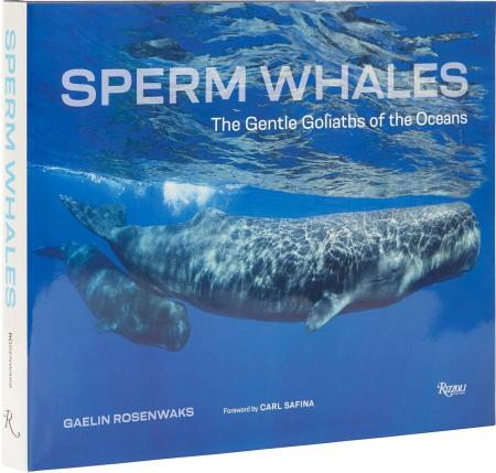 книга Sperm Whales: The Gentle Goliaths of the Ocean, автор: Author Gaelin Rosenwaks, Foreword by Carl Safina