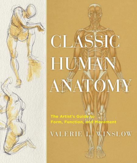 книга Classic Human Anatomy: Artist's Guide до Form, Function, and Movement, автор: Valerie L. Winslow