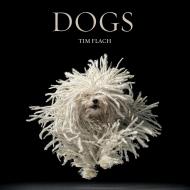 Dogs Tim Flach