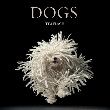 книга Dogs, автор: Tim Flach